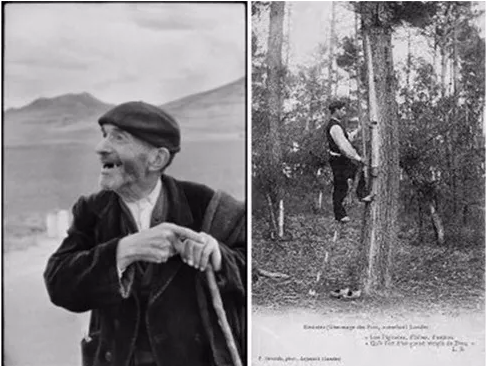 貝雷帽究竟要怎么選才好！